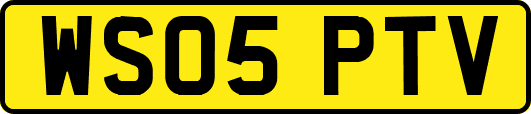 WS05PTV