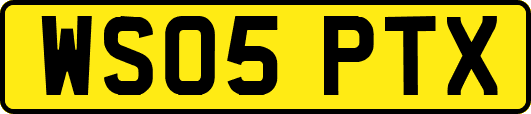 WS05PTX