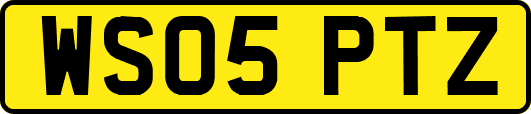 WS05PTZ