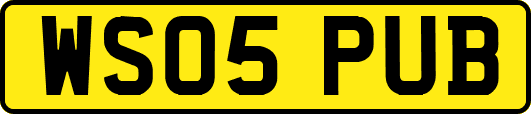 WS05PUB