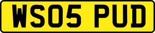 WS05PUD