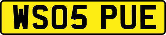 WS05PUE