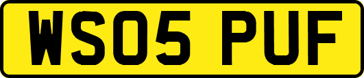WS05PUF