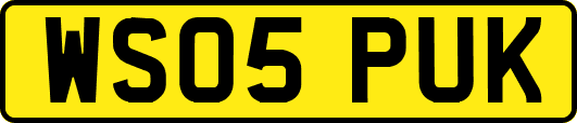 WS05PUK