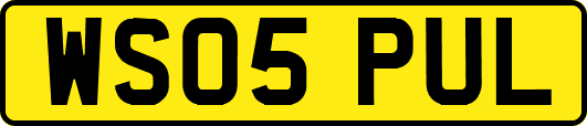 WS05PUL