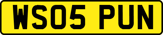 WS05PUN