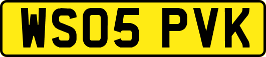 WS05PVK