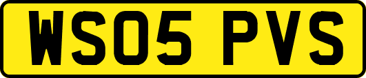 WS05PVS