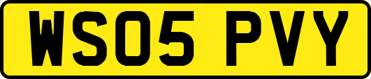 WS05PVY