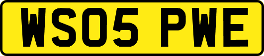 WS05PWE