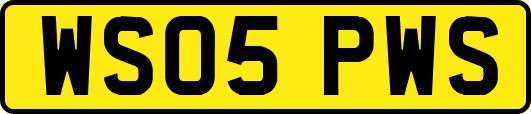 WS05PWS