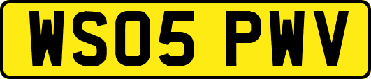 WS05PWV