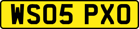 WS05PXO