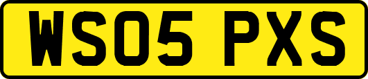 WS05PXS