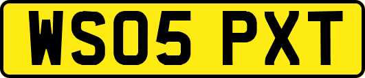 WS05PXT