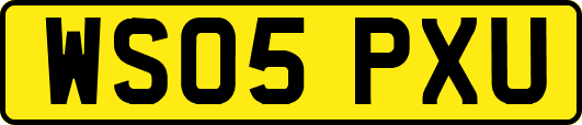 WS05PXU