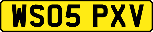 WS05PXV