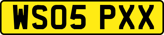 WS05PXX
