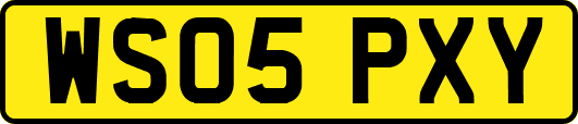 WS05PXY