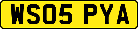WS05PYA