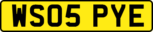 WS05PYE