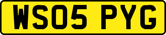 WS05PYG