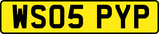 WS05PYP