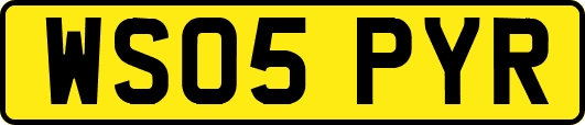 WS05PYR