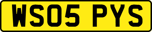 WS05PYS