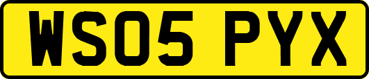 WS05PYX