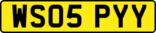 WS05PYY