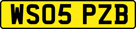 WS05PZB