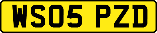 WS05PZD