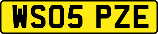 WS05PZE