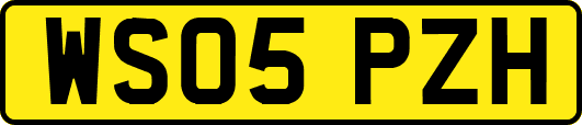 WS05PZH