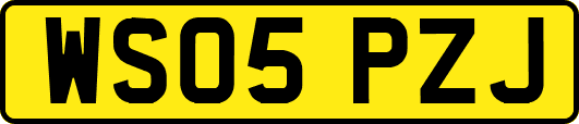 WS05PZJ