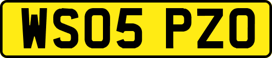 WS05PZO