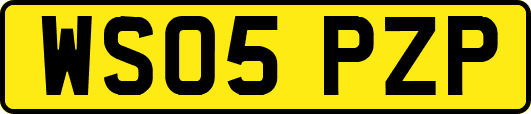 WS05PZP