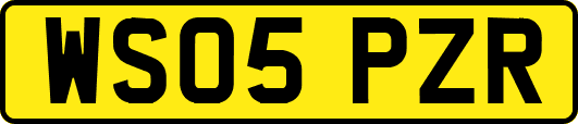 WS05PZR