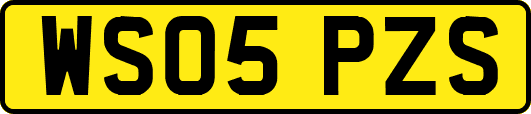 WS05PZS