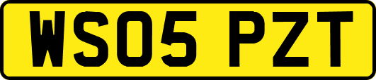 WS05PZT