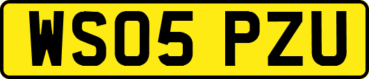 WS05PZU