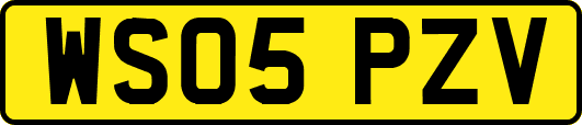 WS05PZV
