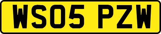 WS05PZW