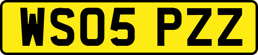 WS05PZZ