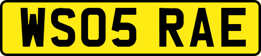 WS05RAE