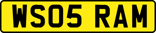 WS05RAM