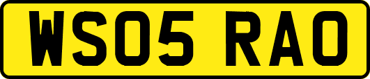 WS05RAO