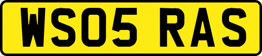 WS05RAS