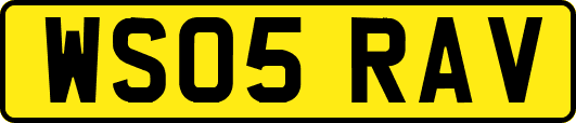 WS05RAV